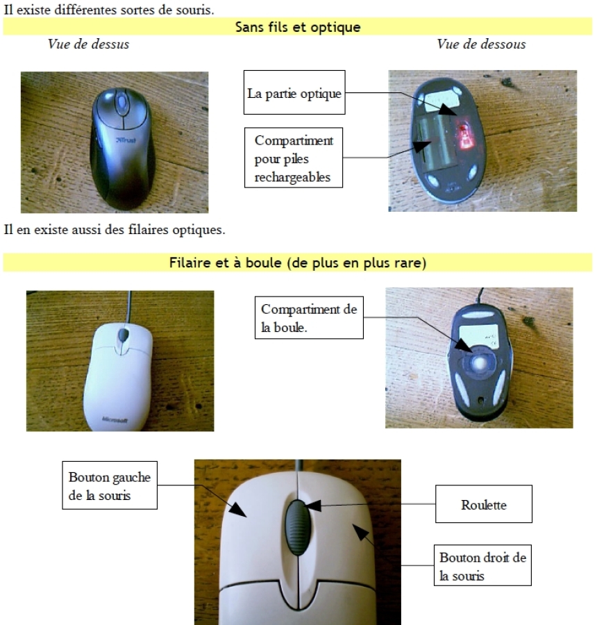 Définition Souris — Dictionnaire informatique — Xyoos