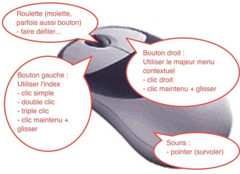 Module 1 Initiation La souris