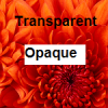 Texte-transparent-Opaque