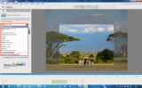Picasa 39