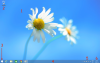 Windows 8.1 : Bureau