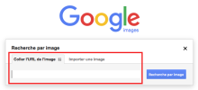 Recherche Google par image : glisser l'image dans la zone URL