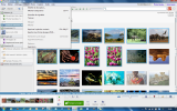 Menu Album de Picasa 3.9