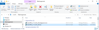 Fichiers téléchargés (Windows 10)