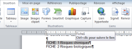 Renvoi sous forme de lien hypertexte