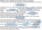OOO4-Images-exemples : Adaptation du texte (habillage)