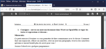 Fichier pdf dans FireFox 64 (Windows 10)